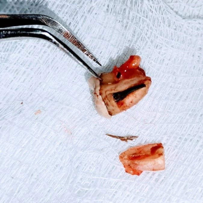 Fabiola Arcos Huesca-27