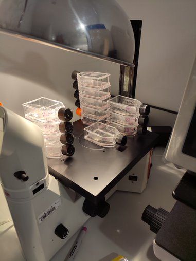 Marion Pearl Cobian-17