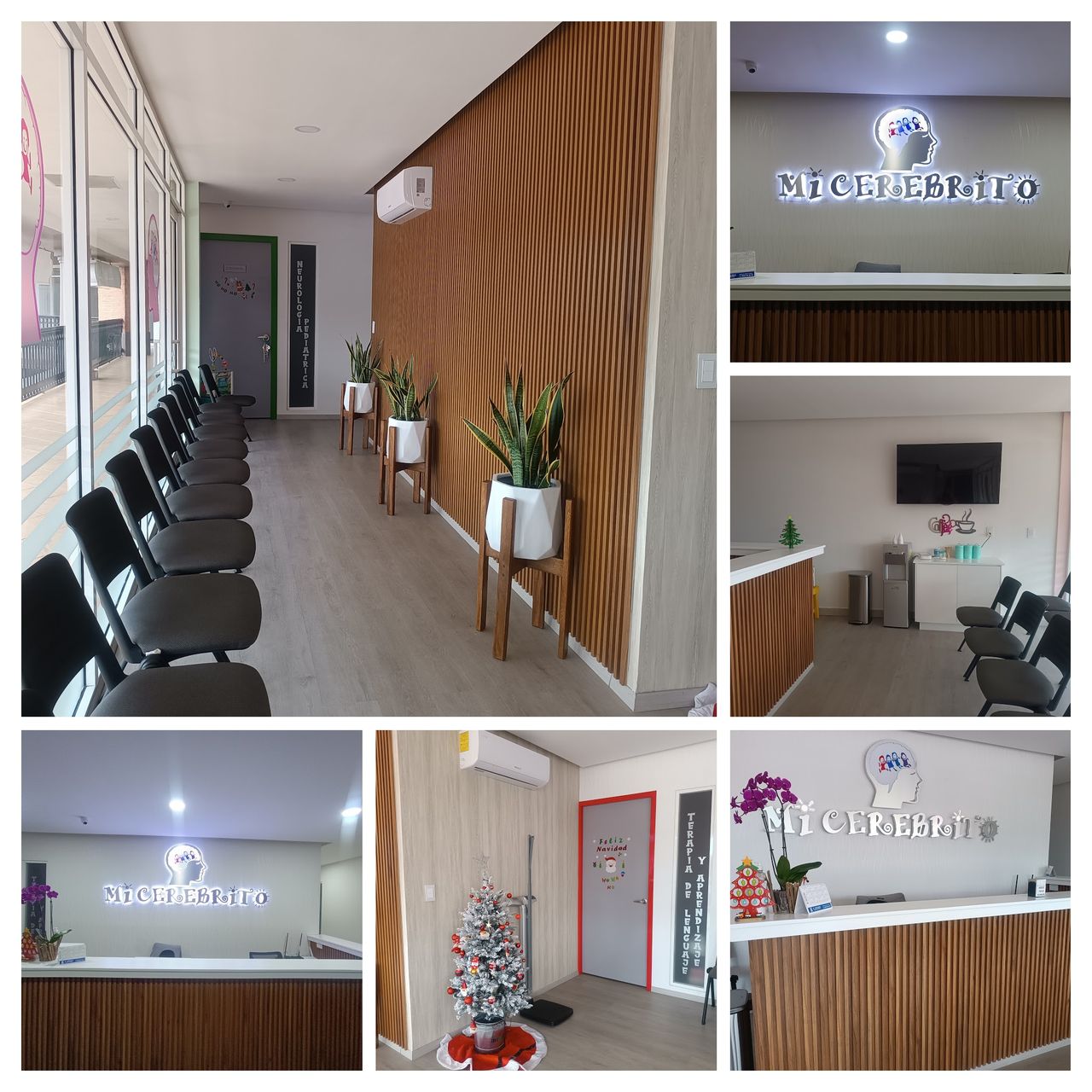 Edgar Ivan Artigas Pelayo-22