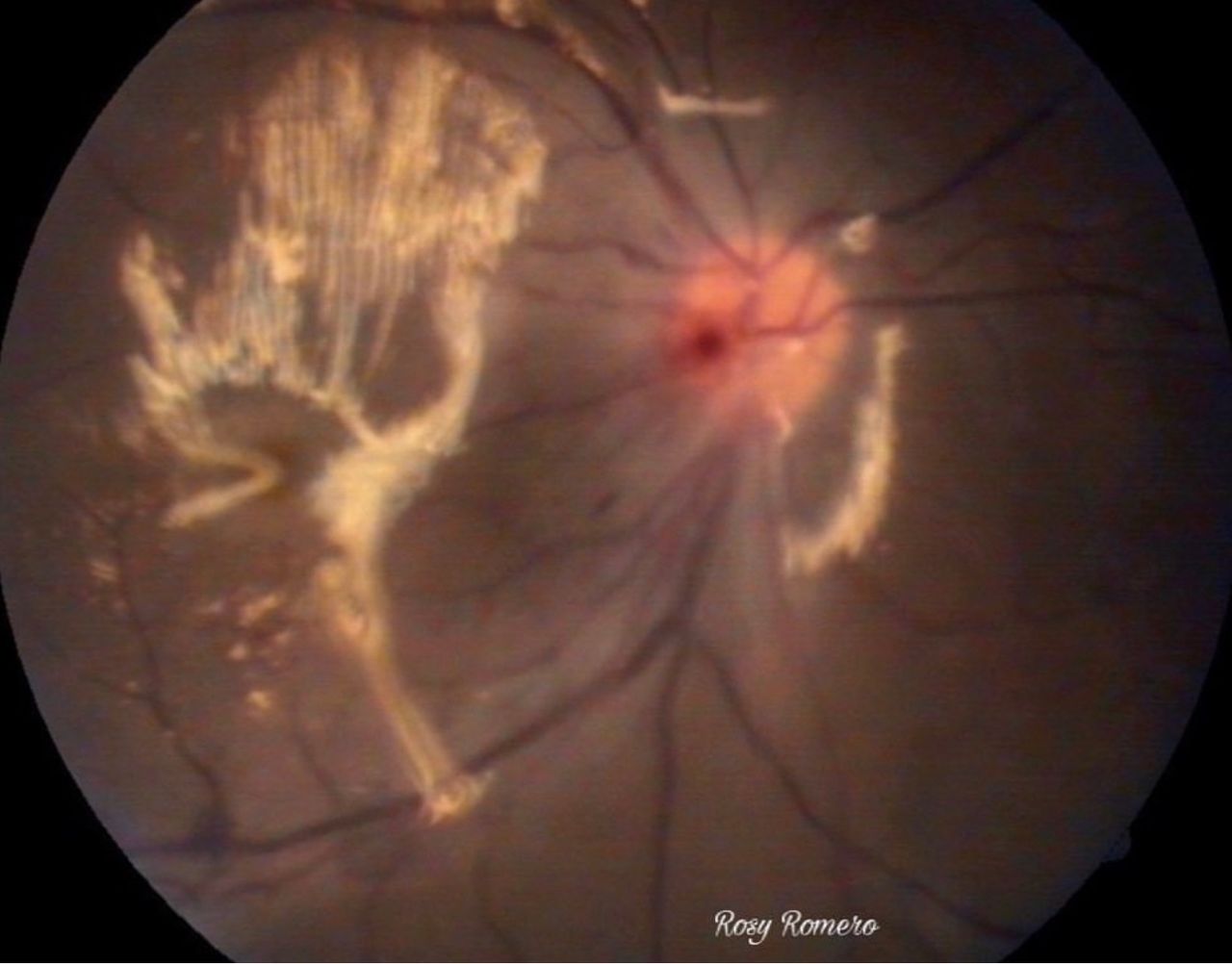 Rosa María Romero Castro-14