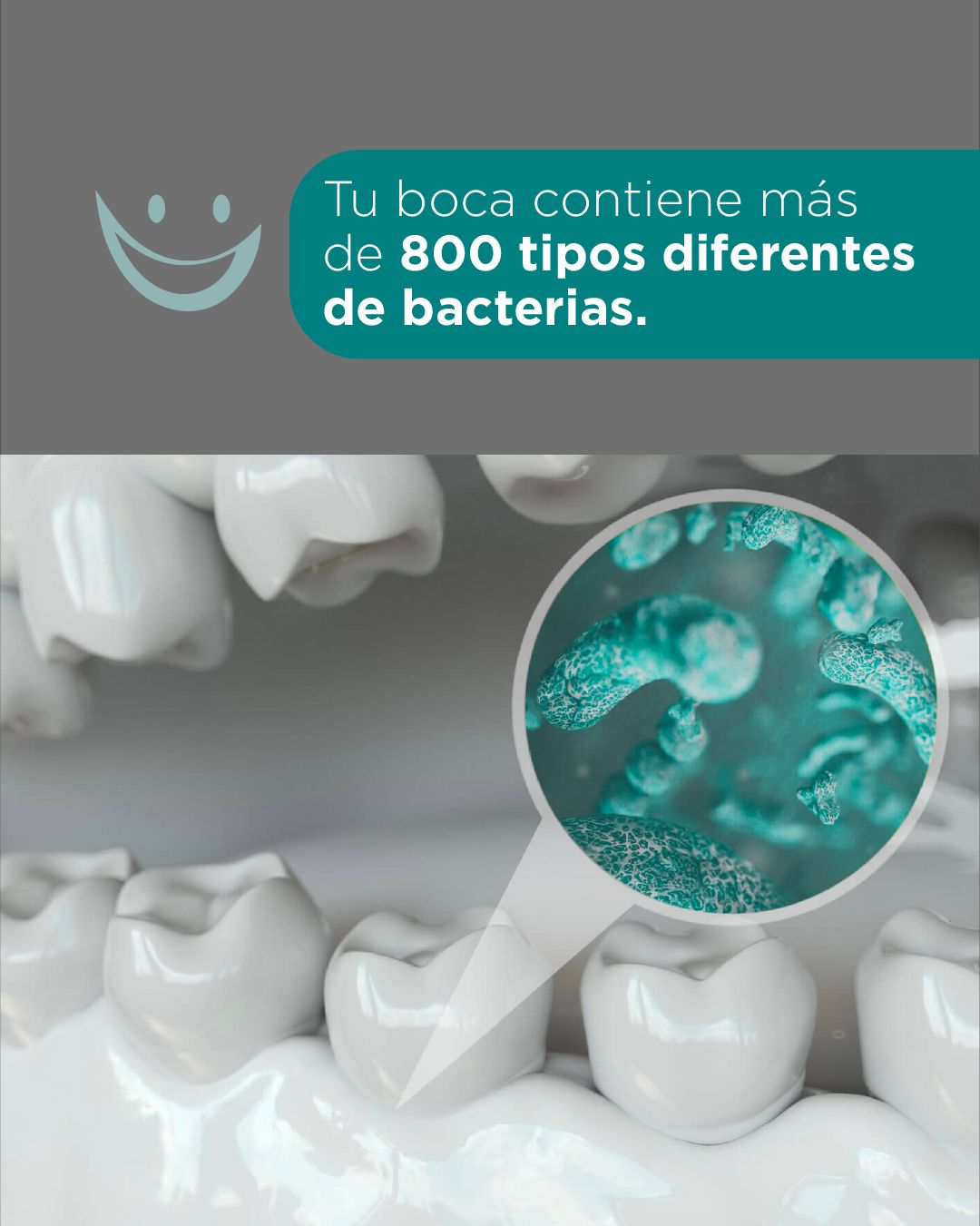 Diana De La Torre Priego-42