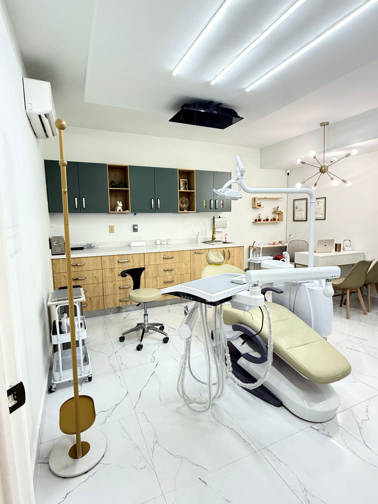 Fernanda Noriega Limón-7