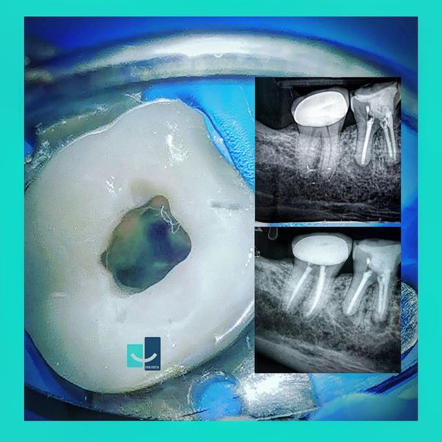 Laura Olivia Solís Ávila-31