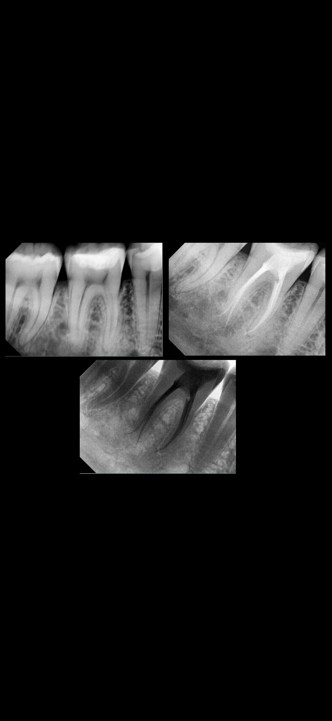 Ana Karen Basulto Cruz-8