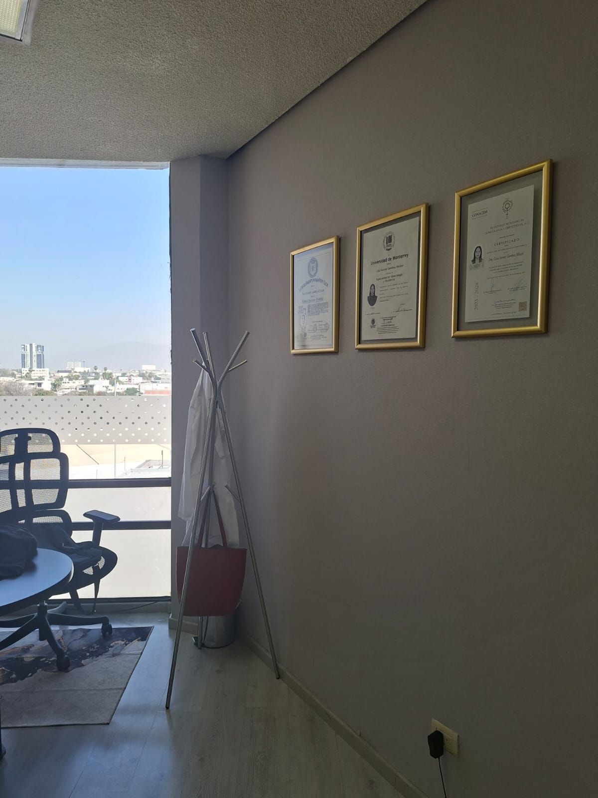 Celia Ivonne Gamboa Altúzar-12