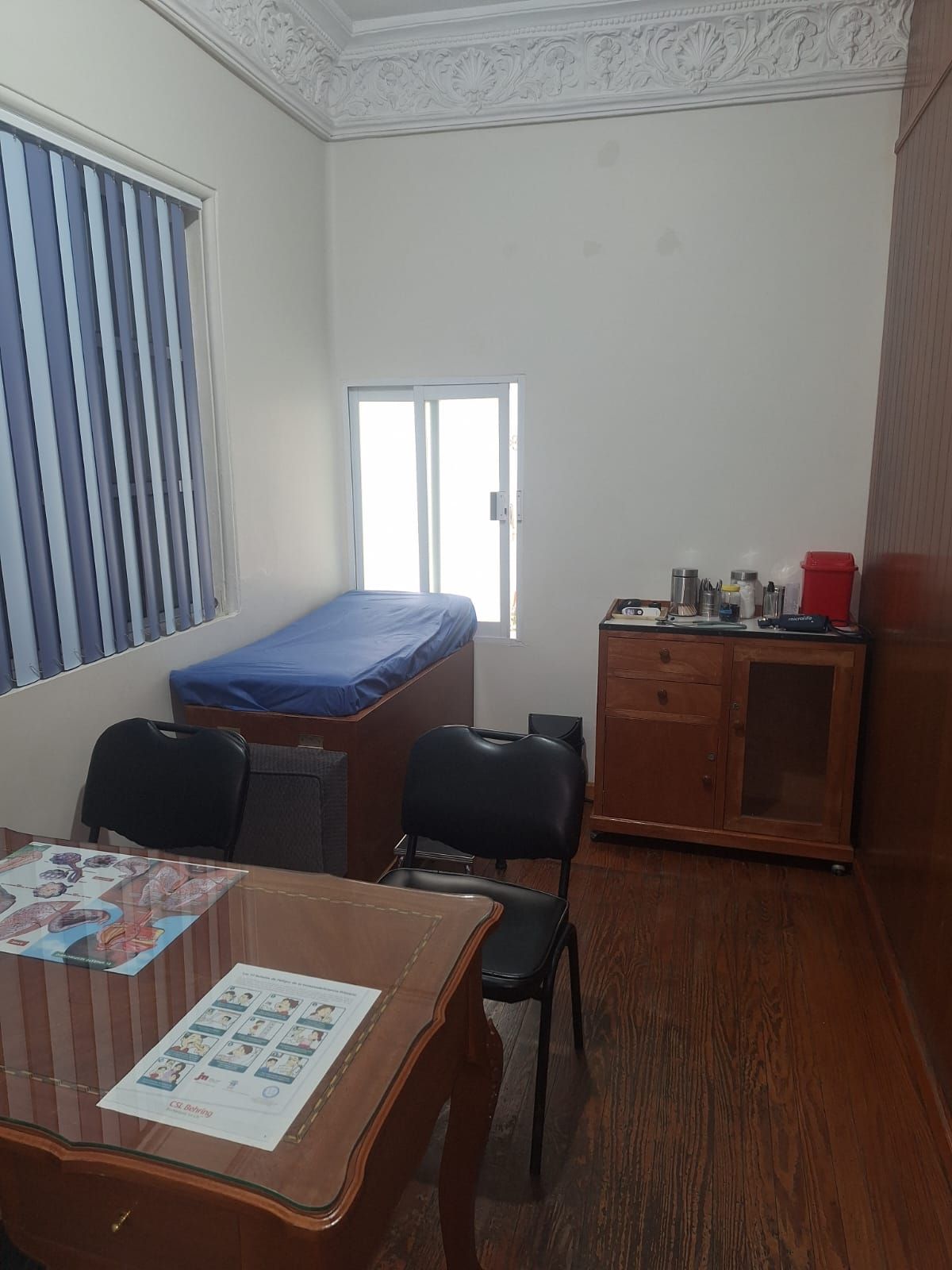 María Isabel Castrejón Vázquez-6