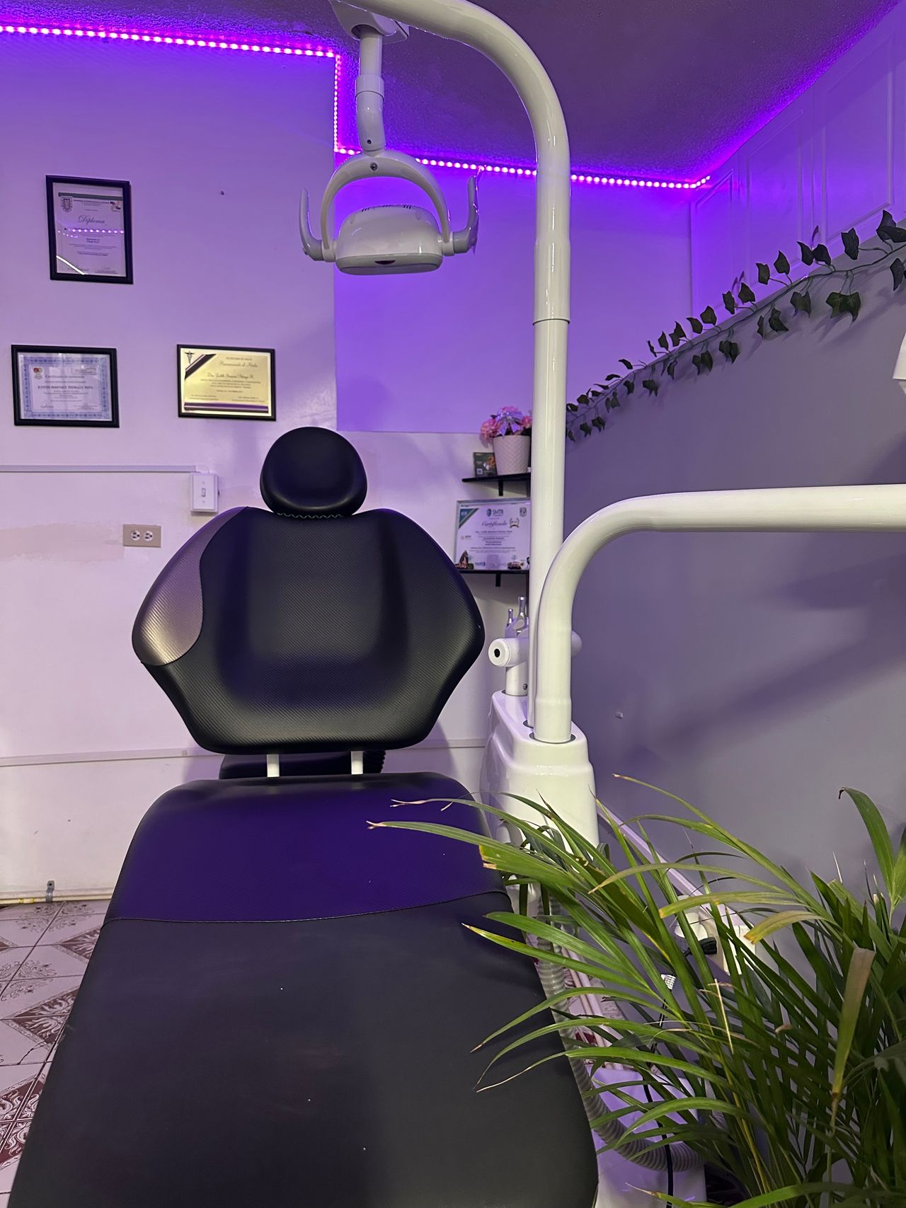 Judith Berenice Pedraza Reza-1