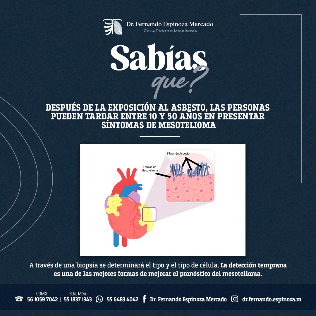 Fernando Espinoza Mercado-16