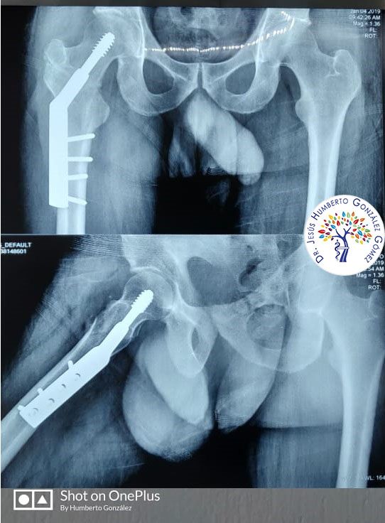 Jesús Humberto González Gómez-16