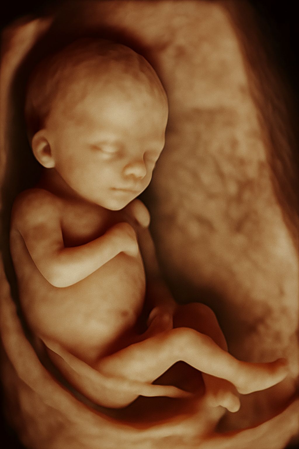 Adrian Estrada Campos-21