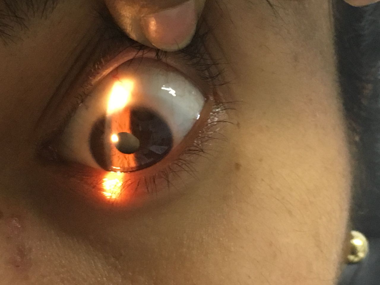 Rosa Elena De La Torre Castro-23