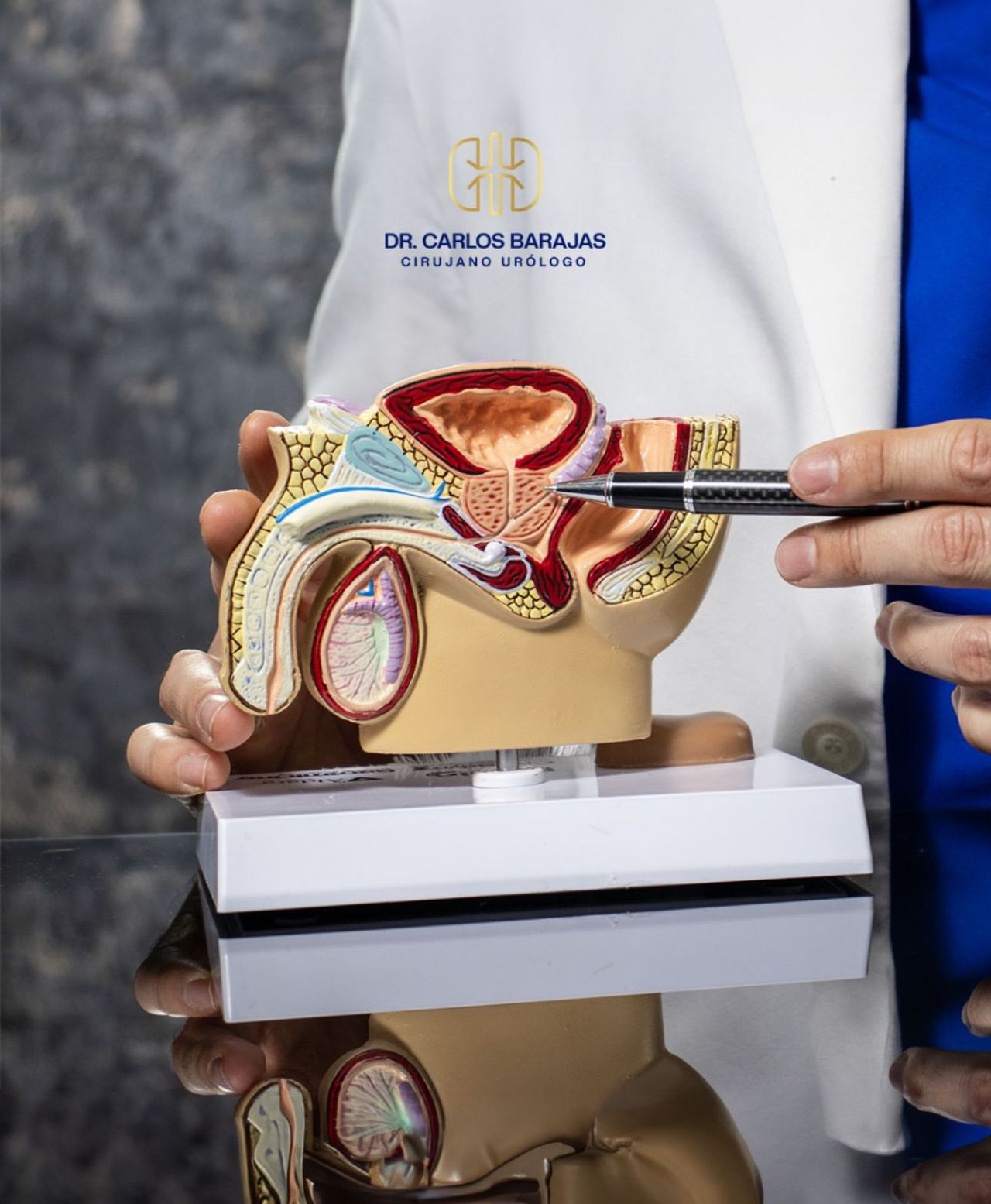 Carlos Damián Barajas Mejía-2