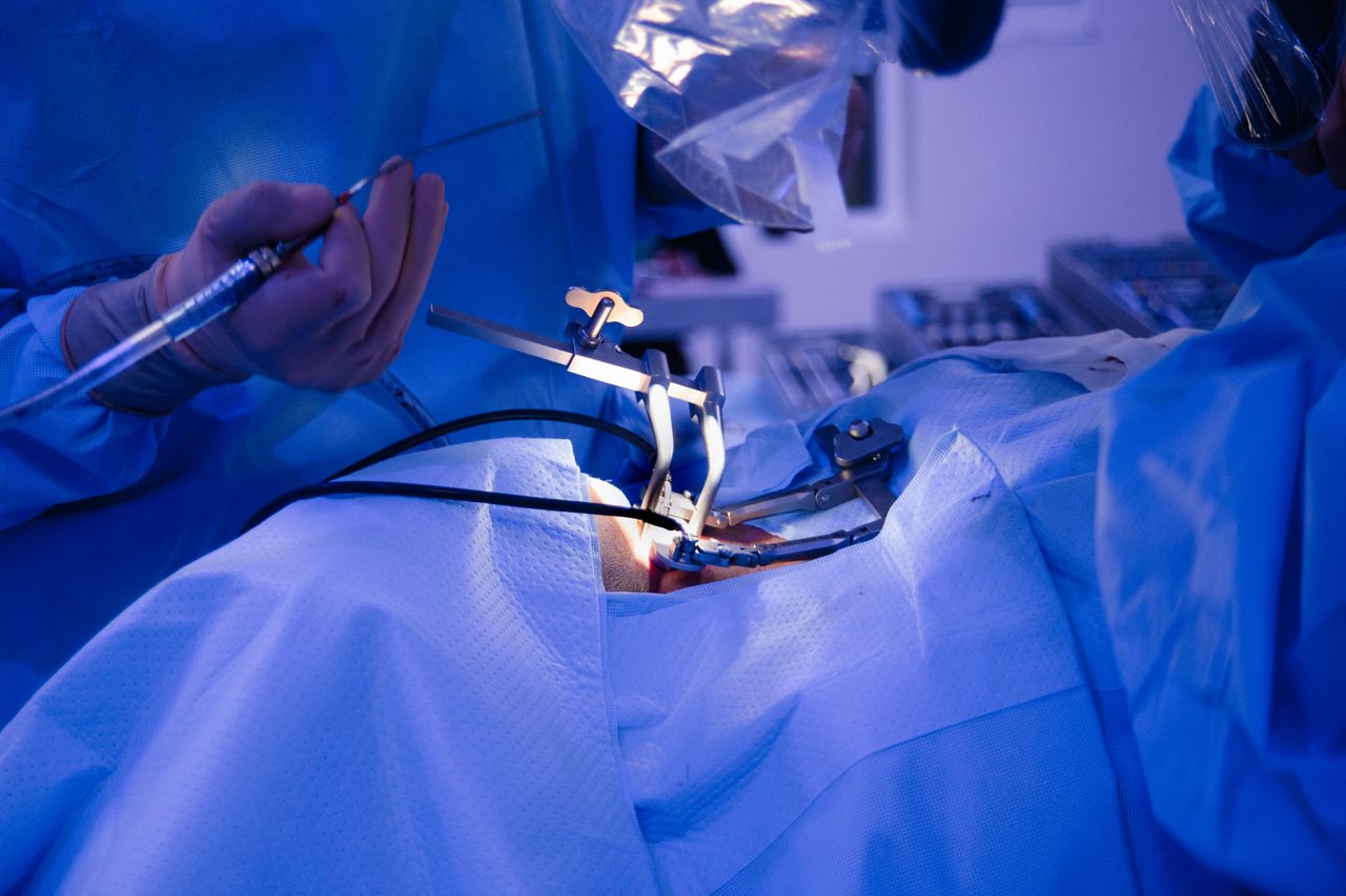 Celia Teresa De Jesús Álvarez Gamiño-44