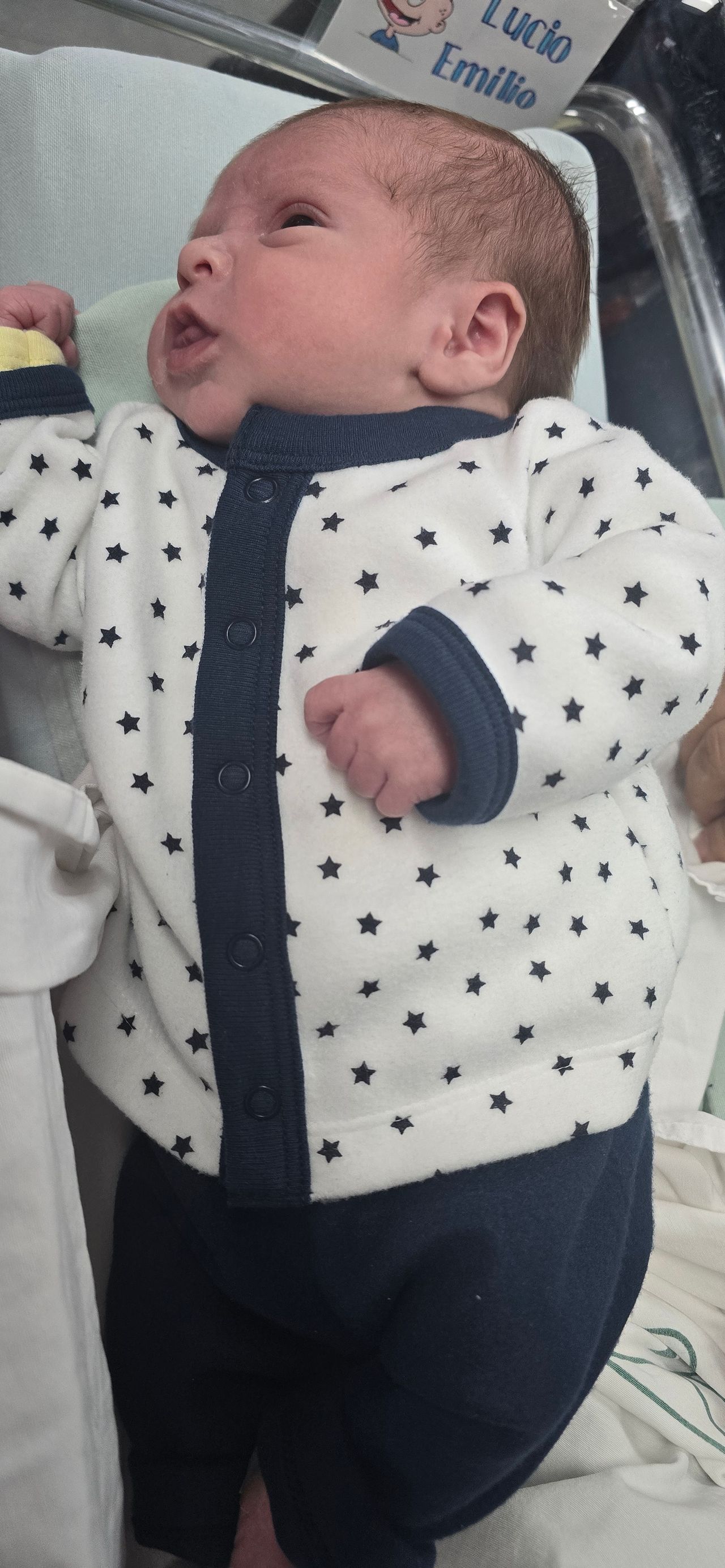 Nestor Daniel Carrasco Cardenas-26