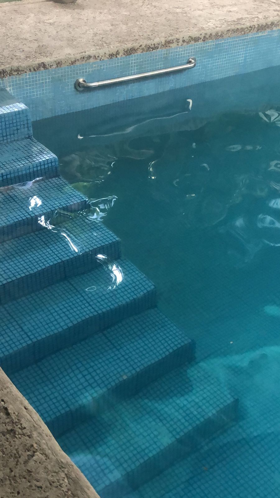 María Teresa Serratos Guitrón-6