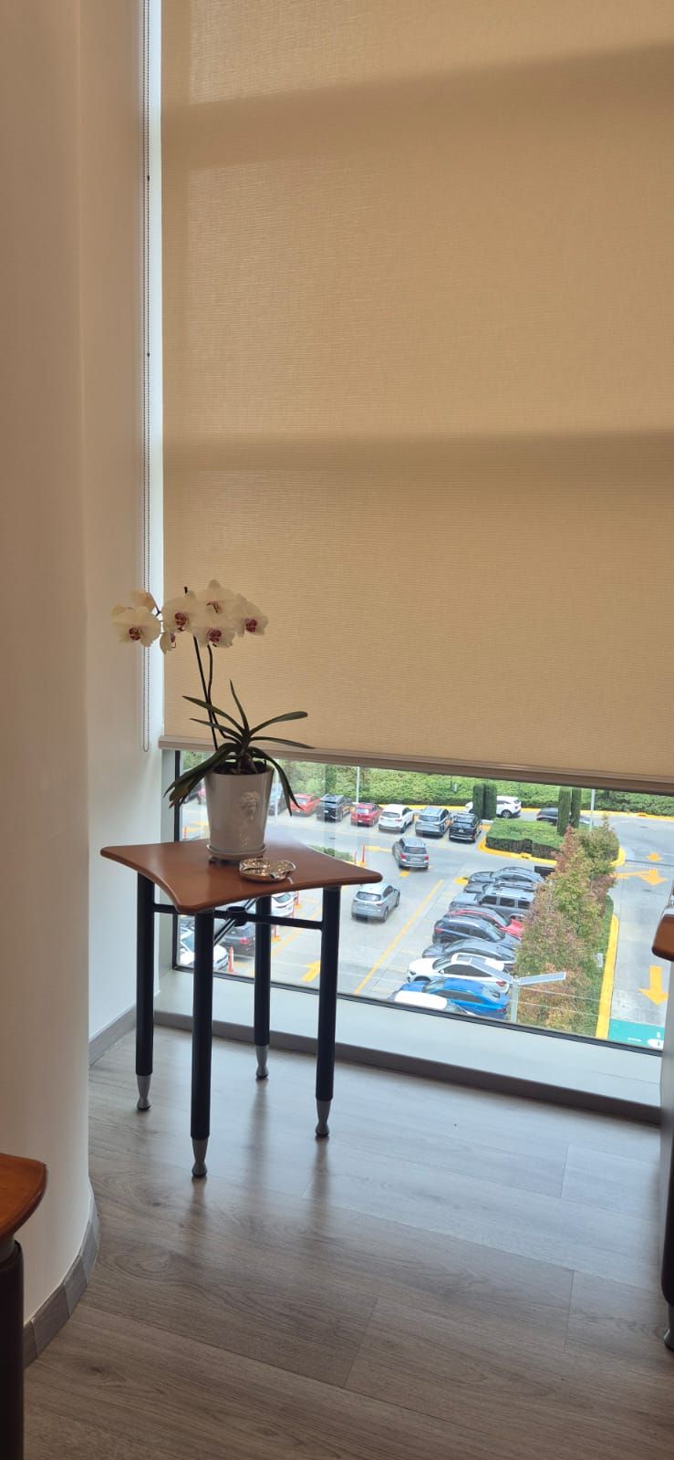 Florencia Lucero Serrano-2