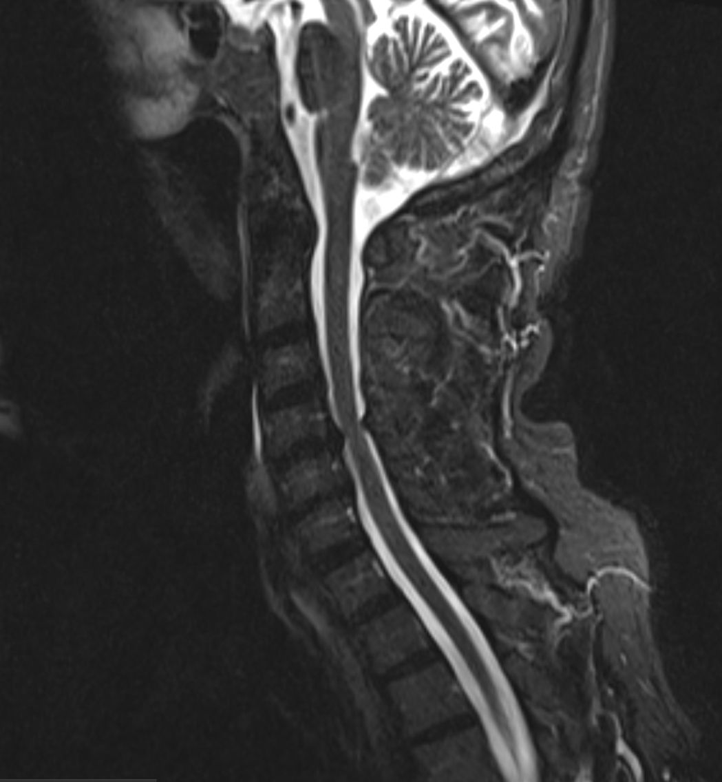 Celia Teresa De Jesús Álvarez Gamiño-14