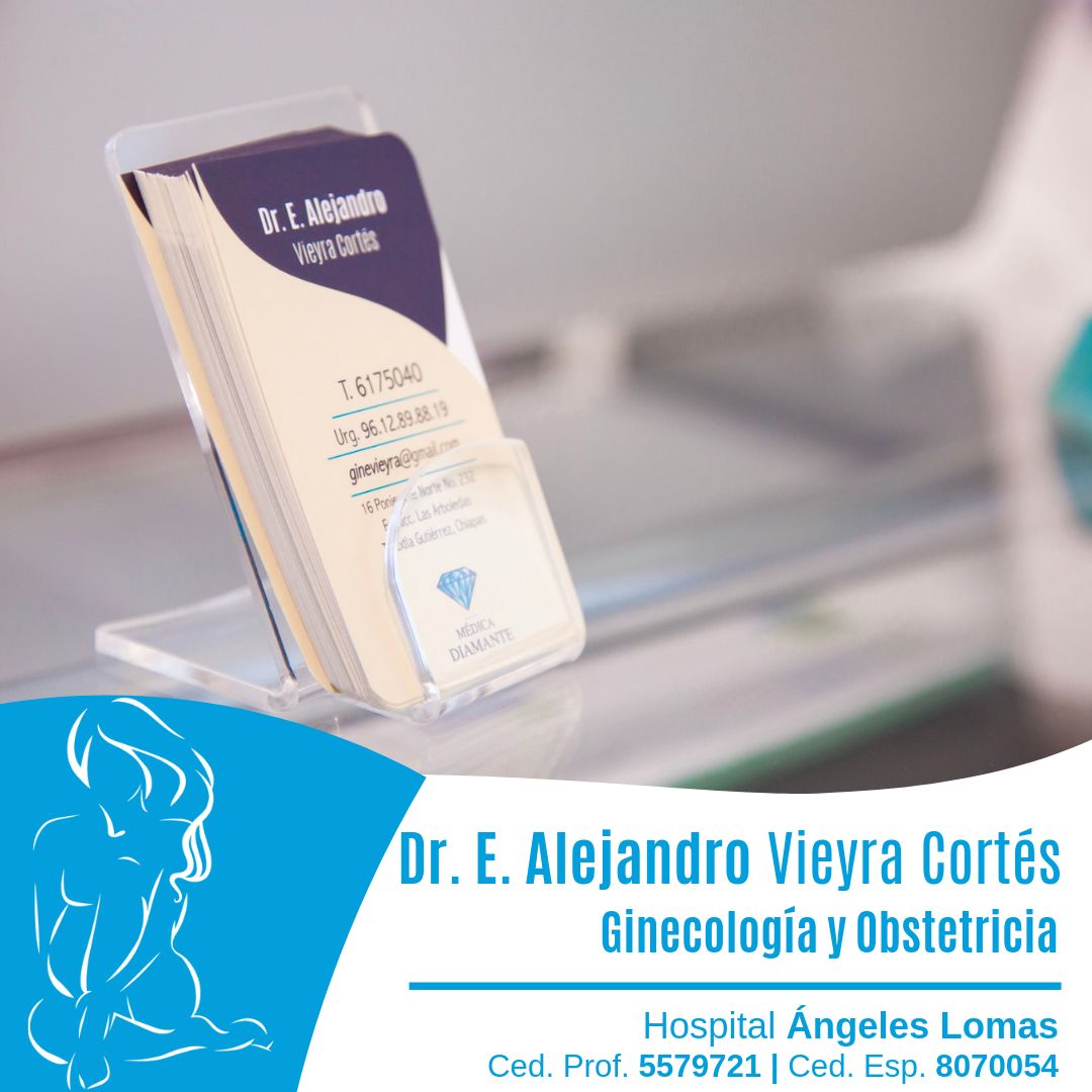 Edmundo Alejandro Vieyra Cortes-8