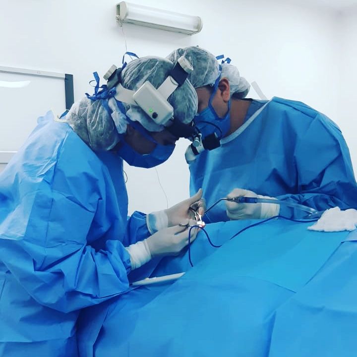 Brenda Contreras Salgado-2