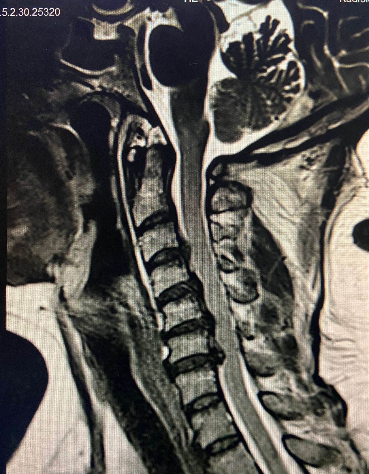 Bardo Grimaldo Hurtado-2