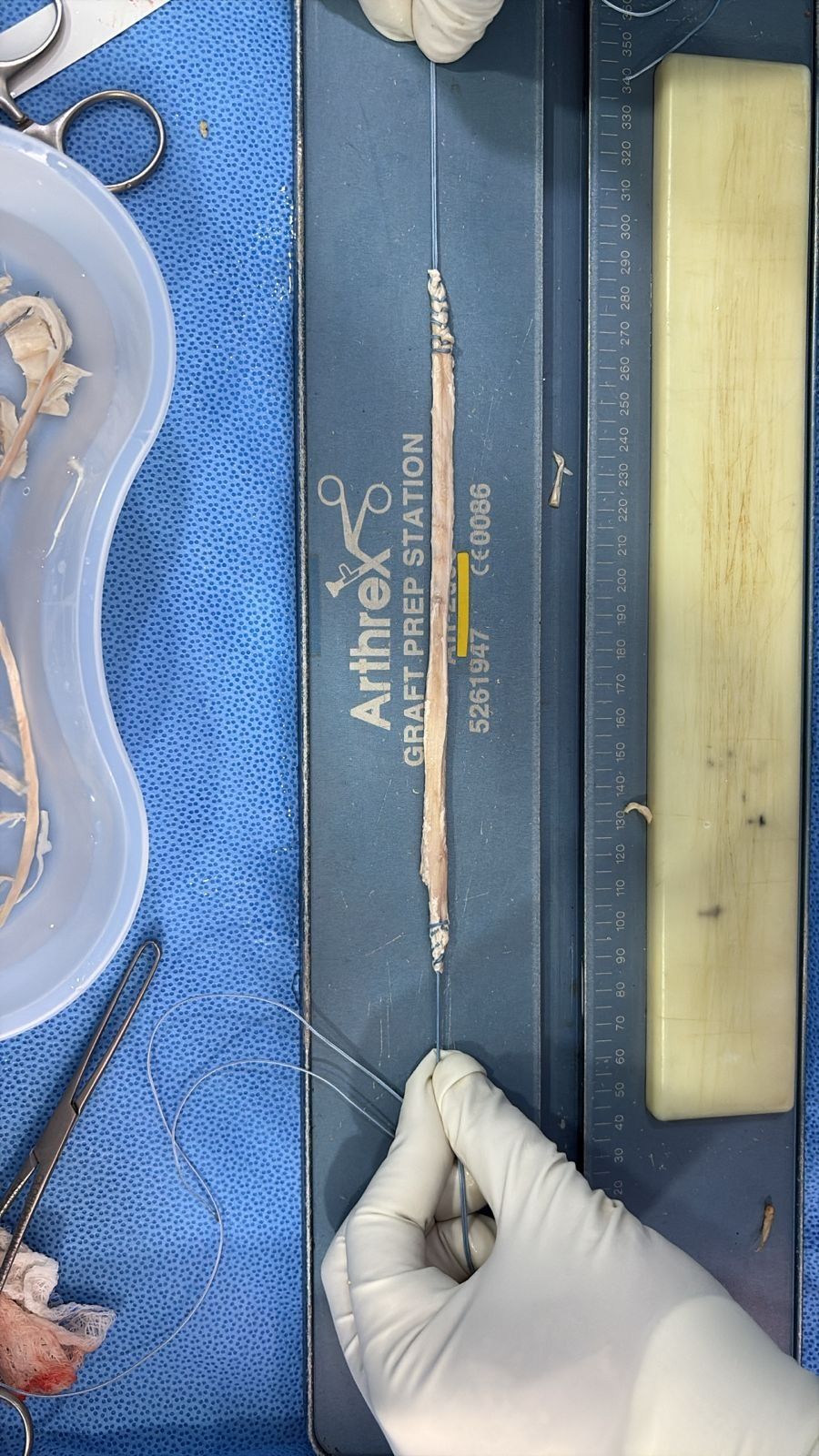 José Antonio Algarín Reyes-39