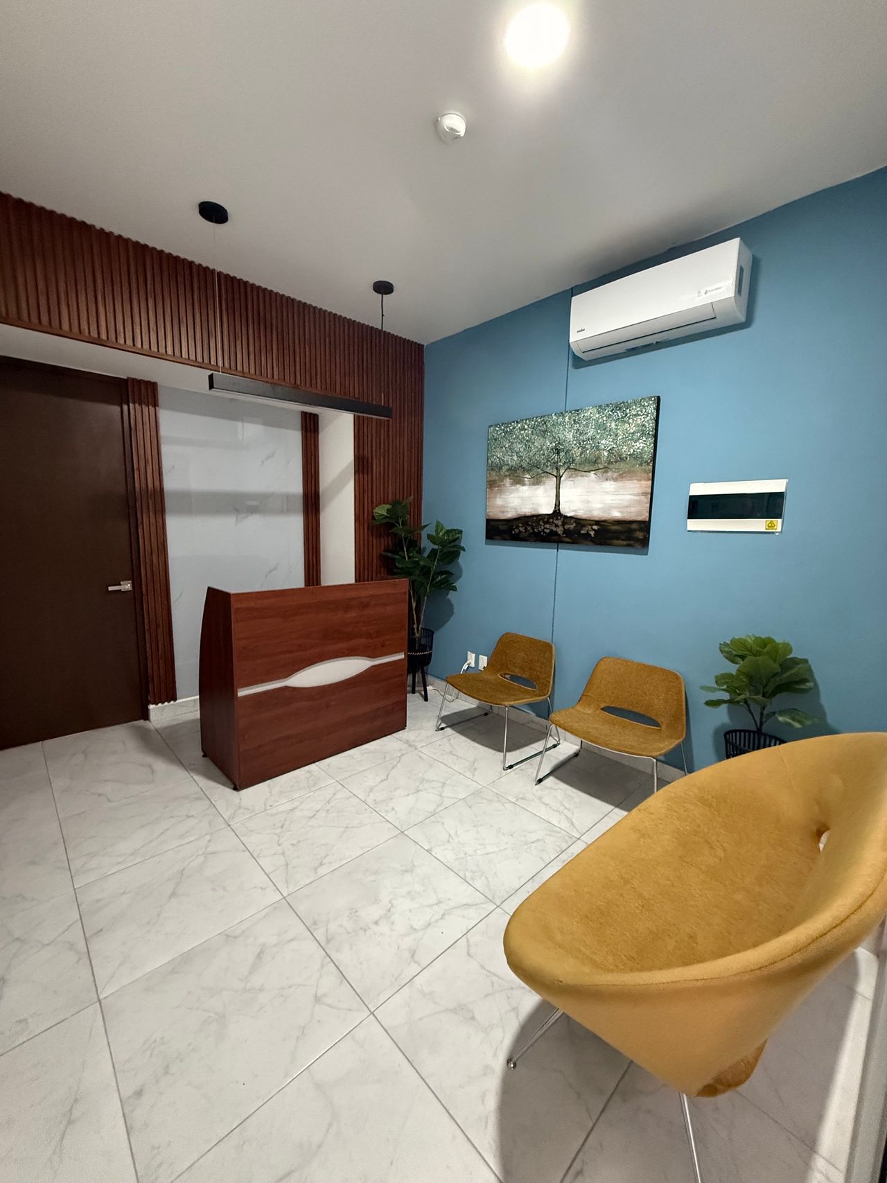 Cileni Cortés Camacho-13