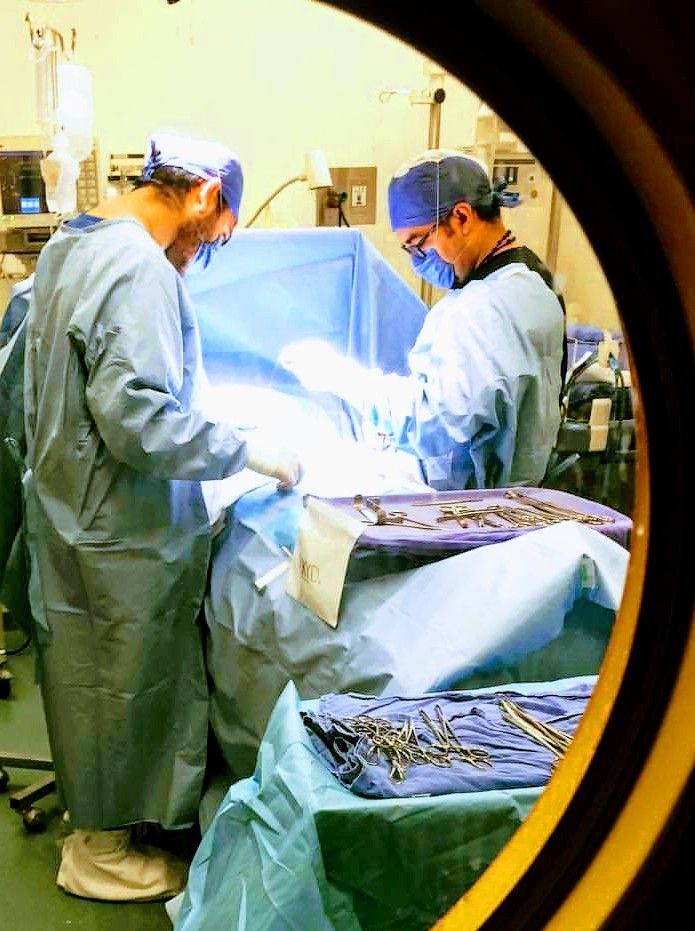 Víctor E. Reséndiz Sandoval-8