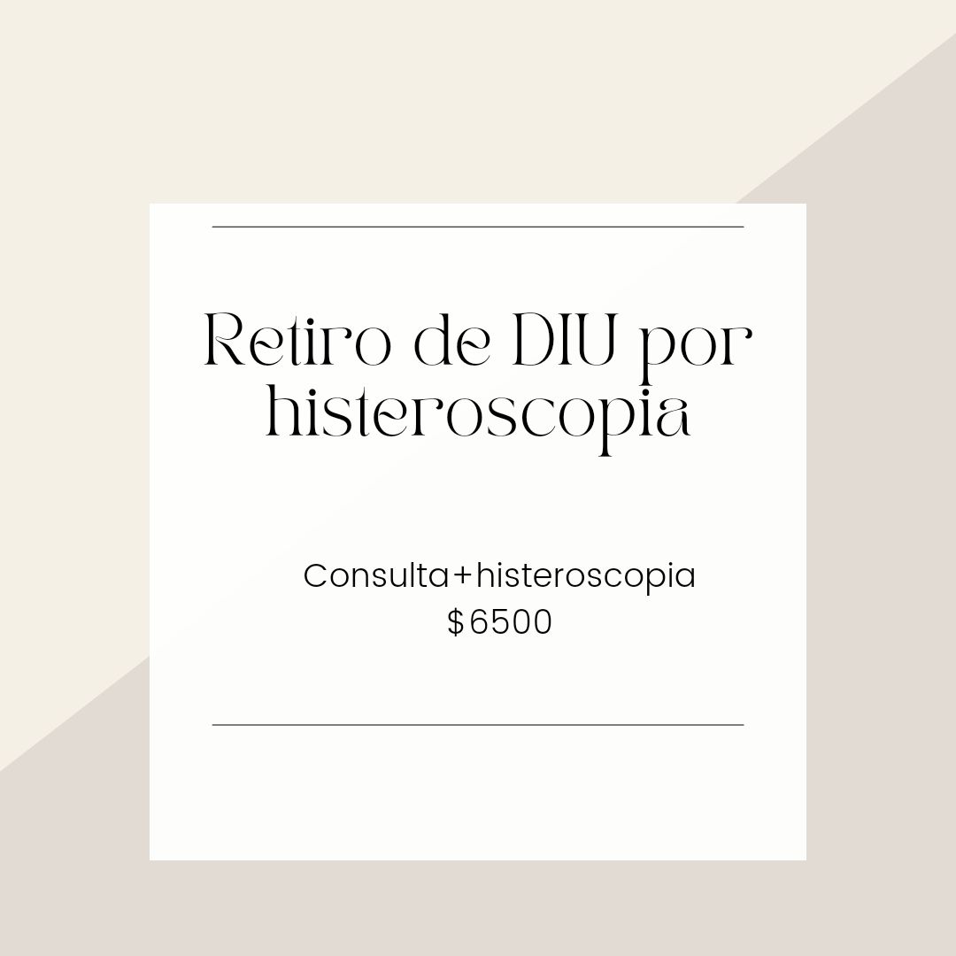 María José Rodríguez Gutiérrez-15