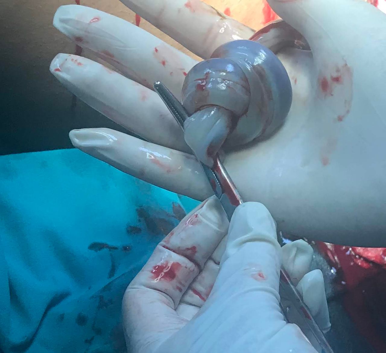 Marisol I. Alvarez Carrasco-34