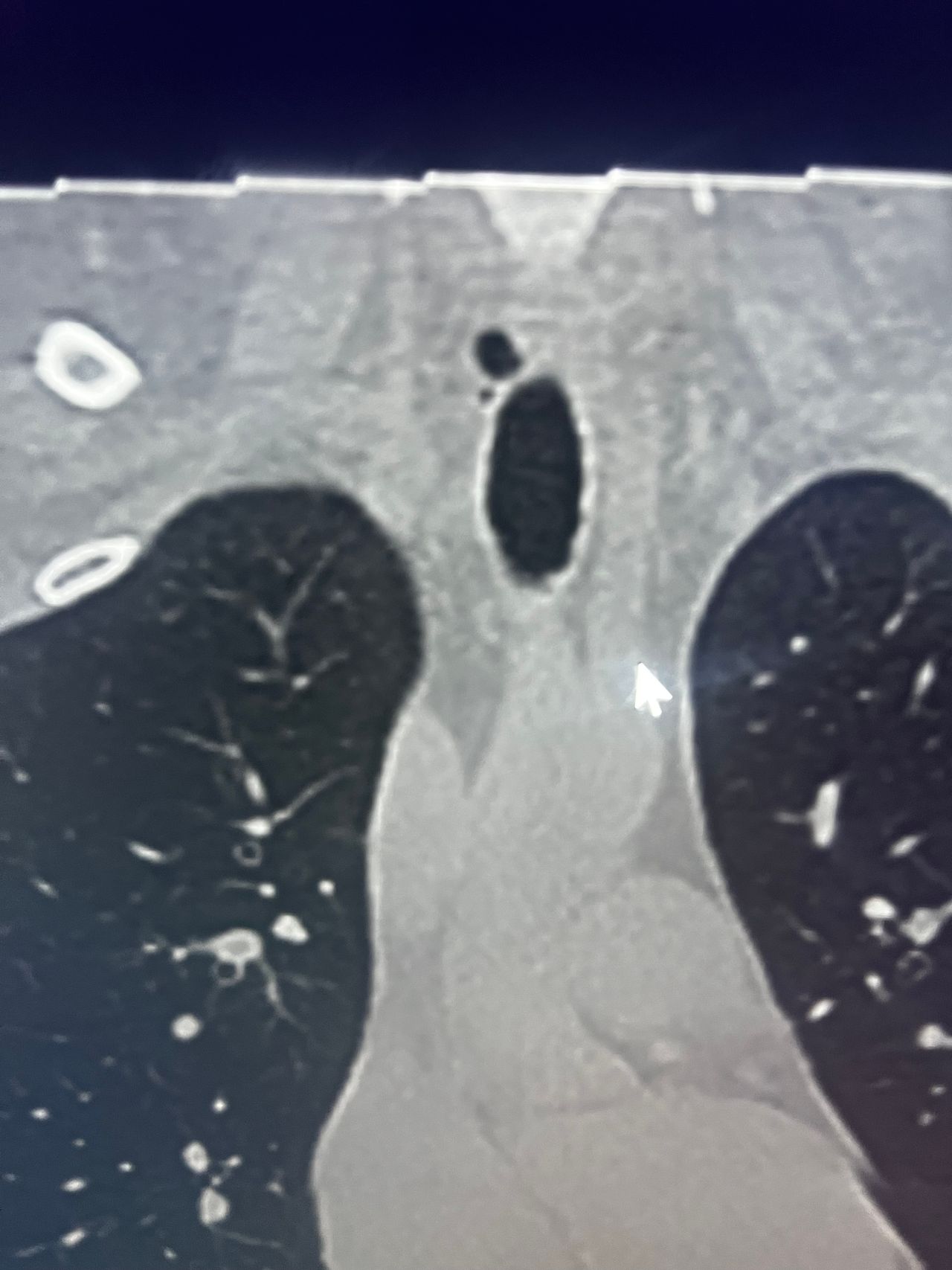 Rogelio Hernández García-46