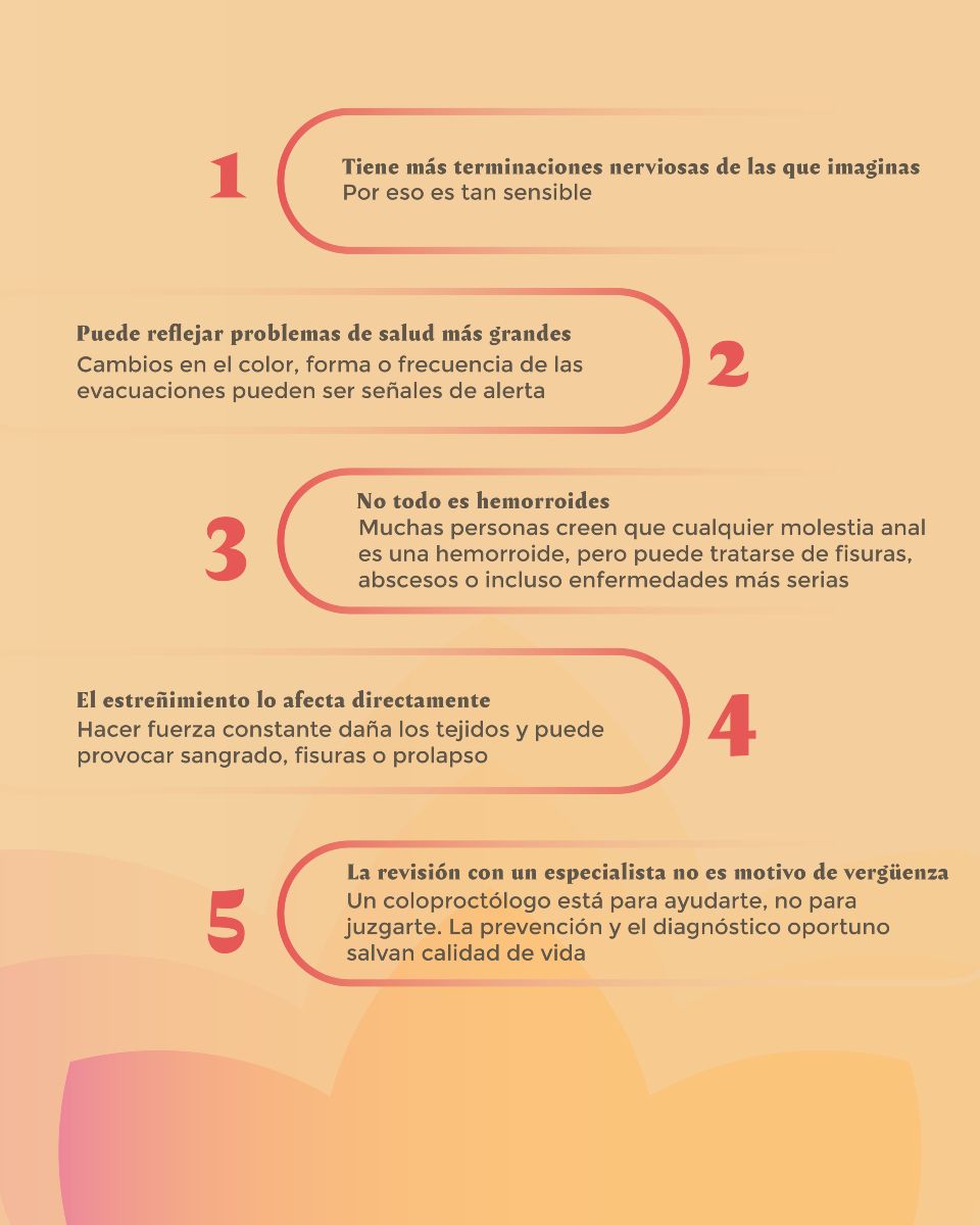 Carolina Vázquez Iñiguez-4