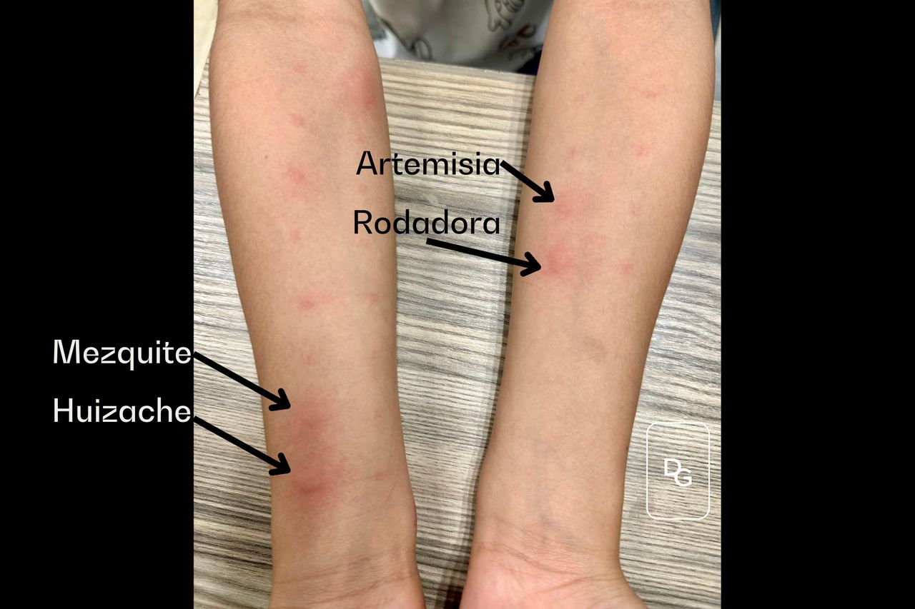 Gerardo López Ponce-4