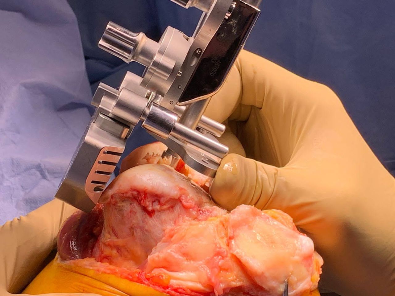 Francisco Javier Gómez Torres-3