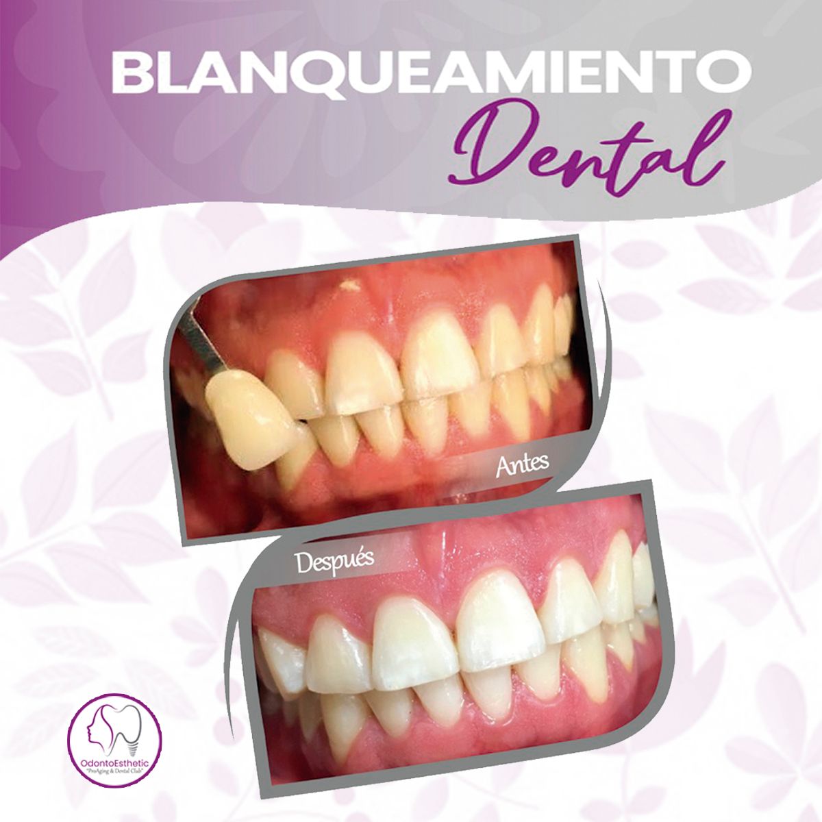 Maria Alejandra Arismendi Martinez-16