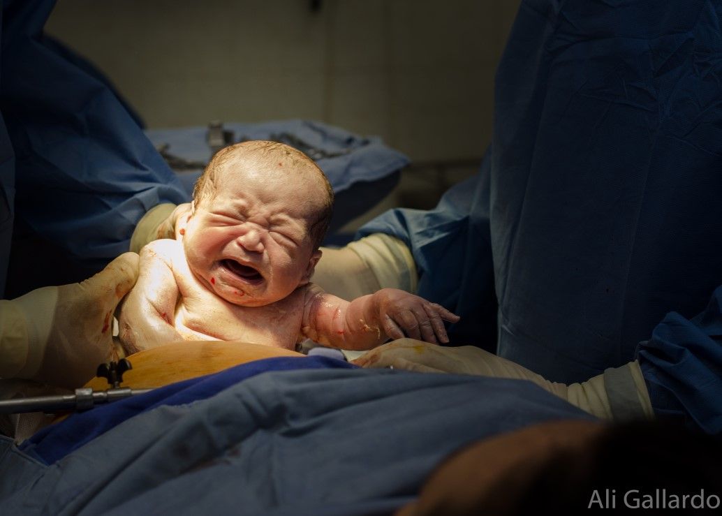 Rodolfo Antonio Gurrola Ochoa-5