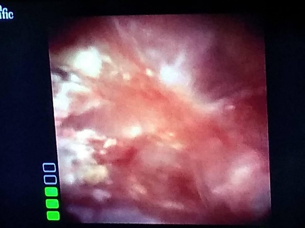 Gerardo Rodrigo Lemus Mena-8