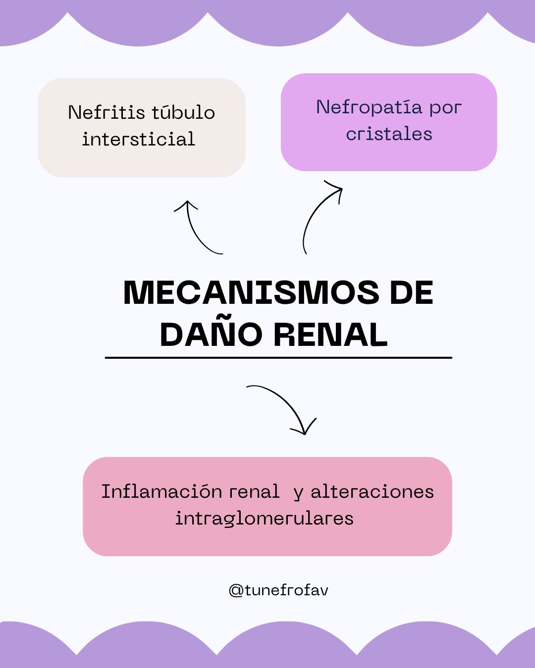Ana Karen Ramirez Iracheta-39