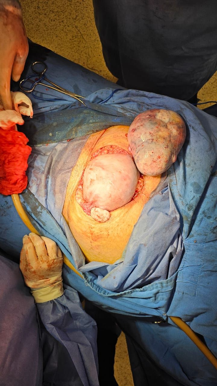 Adrian Davalos Alvarez-5