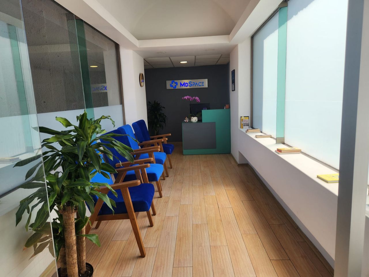 Perla Karina López Jureidini-7