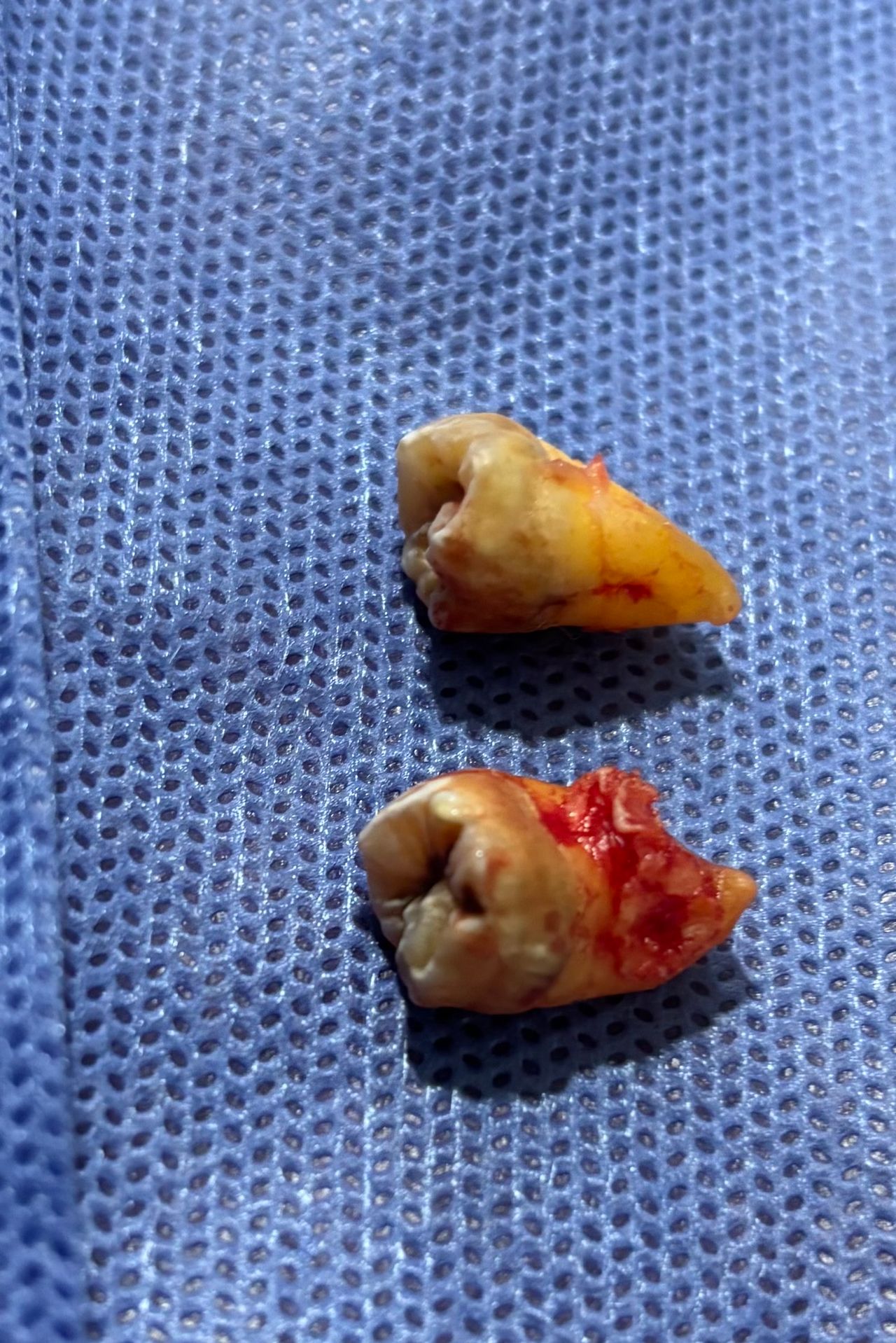 Omar Alejandro Ortiz Rodriguez-8