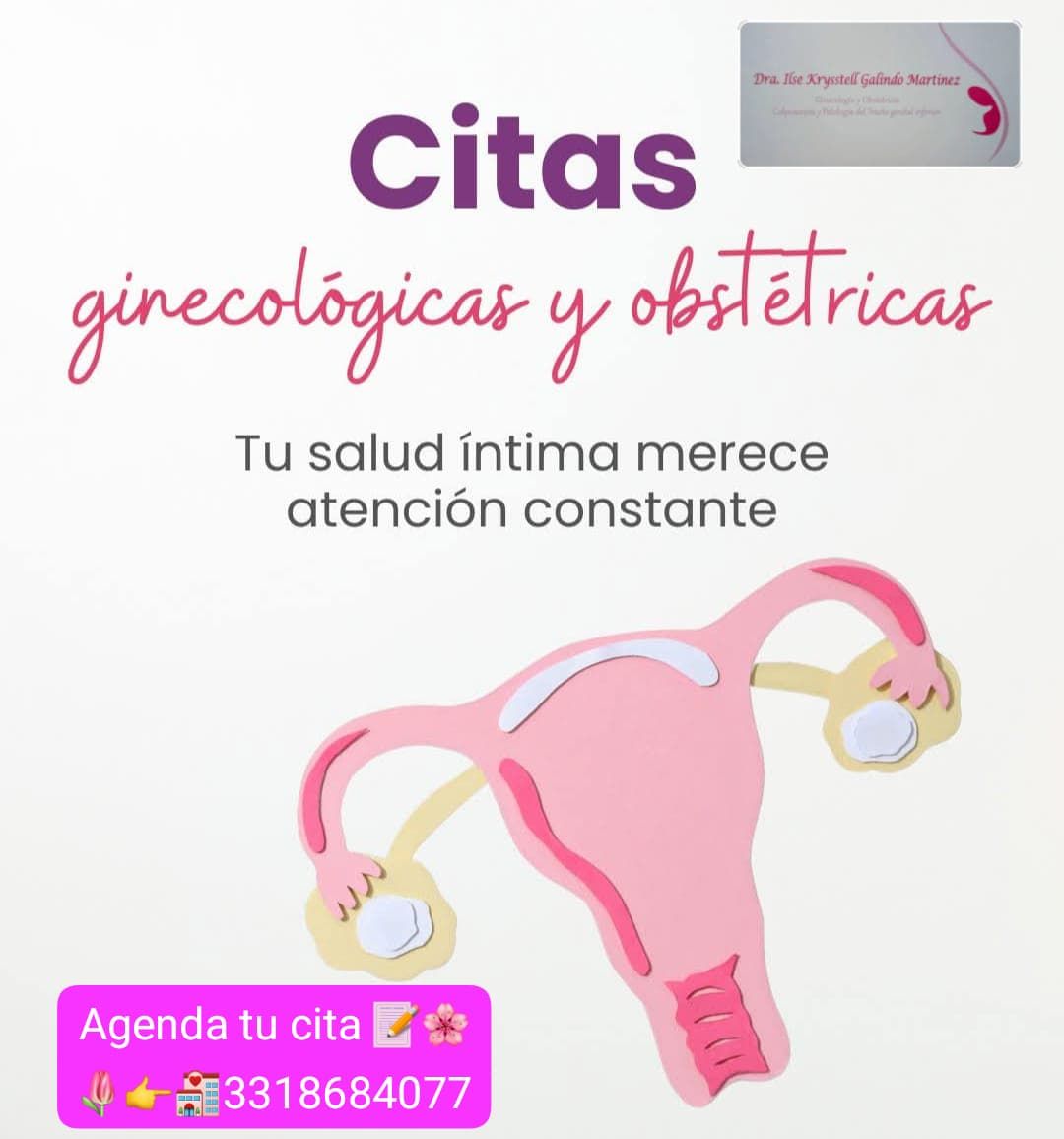 Ilse Krysstell  Galindo Martinez -5