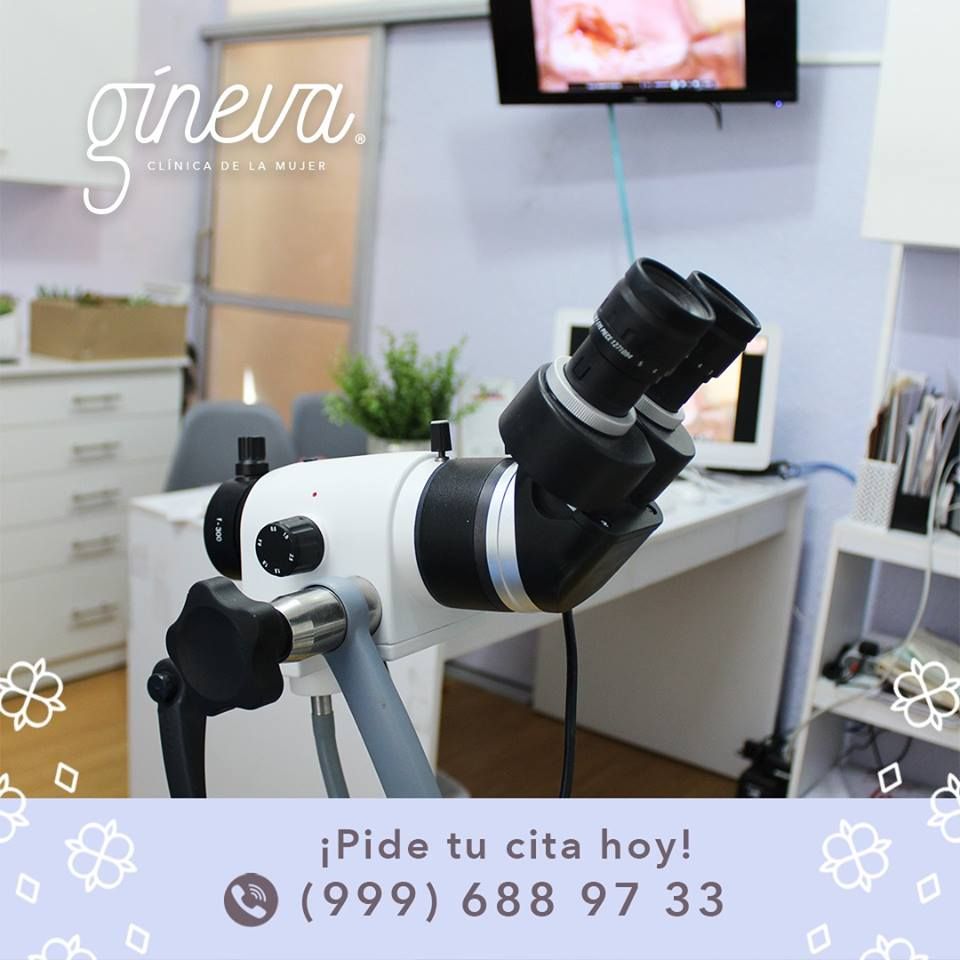 Félix José Molina Aguiar-13