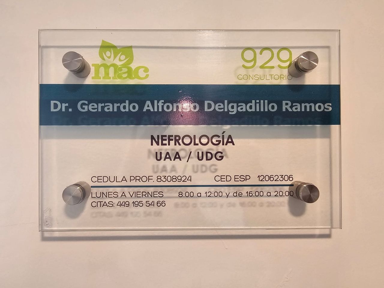 Gerardo Alfonso Delgadillo Ramos-4