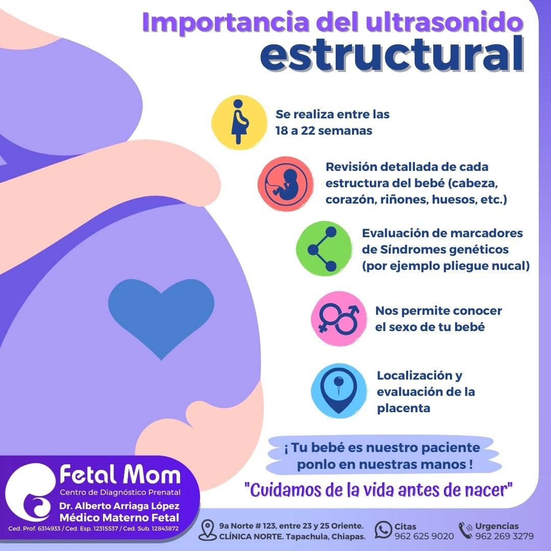 Alberto Arriaga López-5