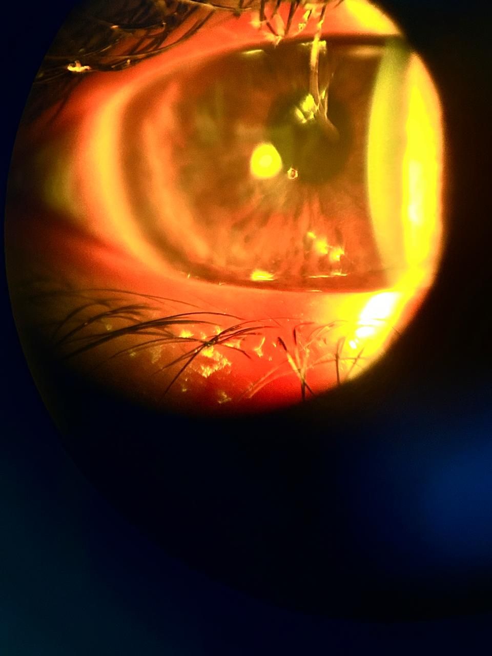 Daniel Martin Laguna Muñoz-48