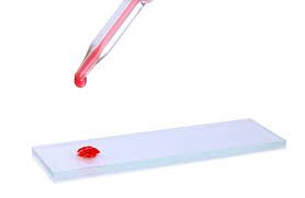 Oscar Eduardo Castellanos Velazco-0