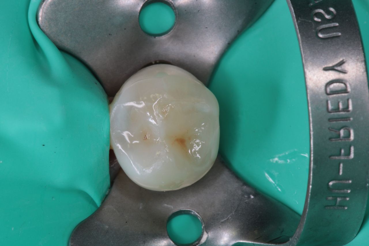 David Alan Escamilla Álvarez-11