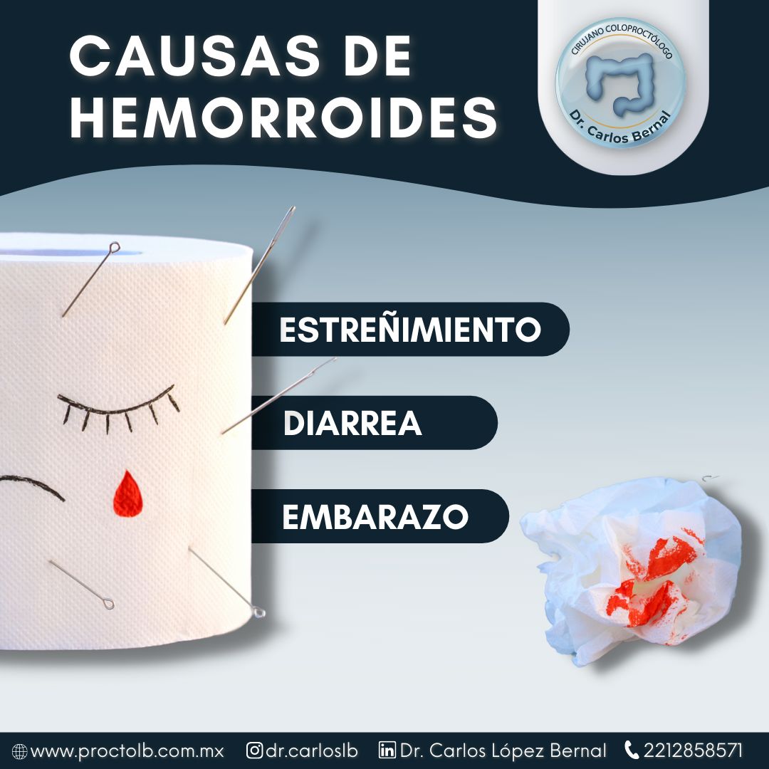 Carlos Alberto López Bernal-12