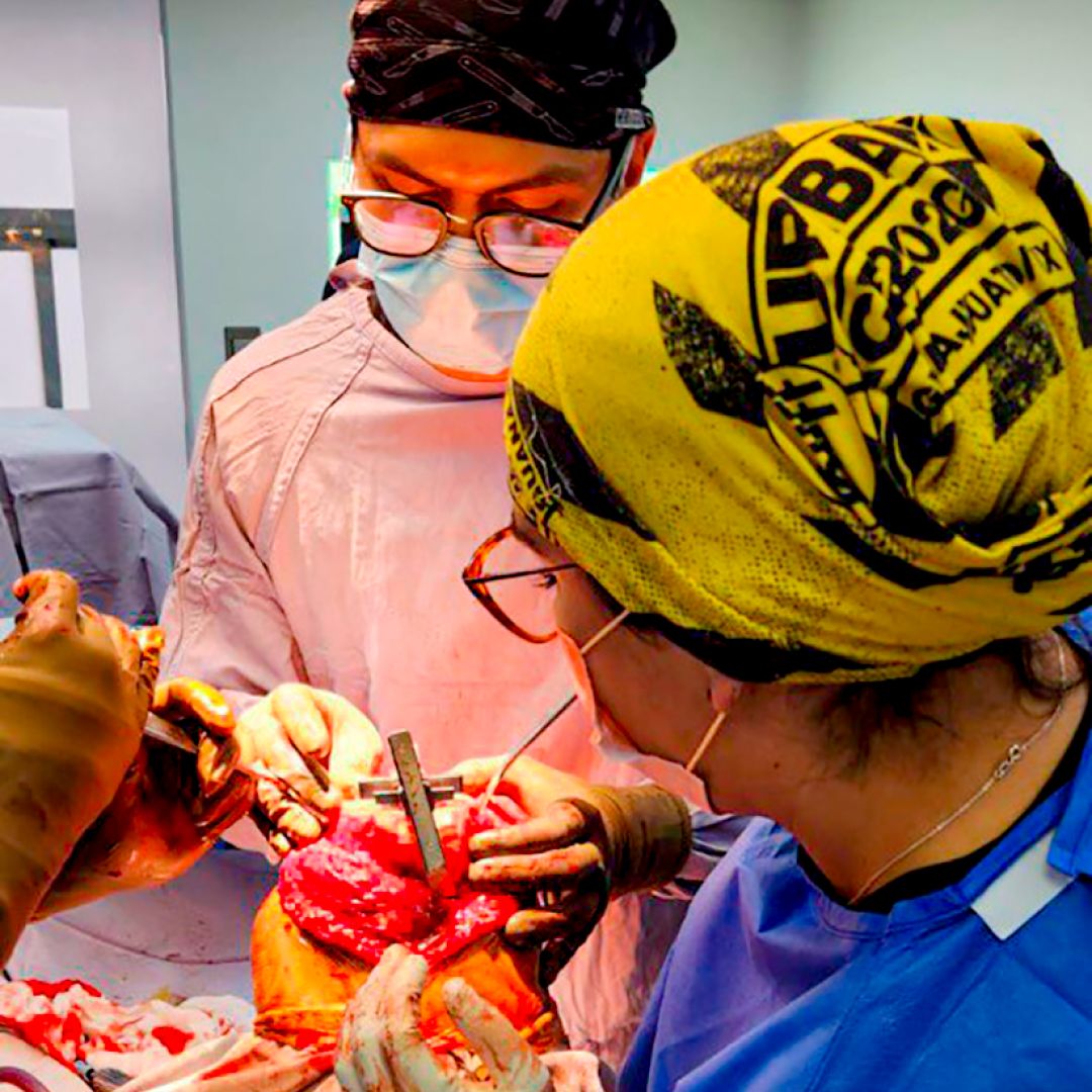 Alejandro Ocegueda Tello-21