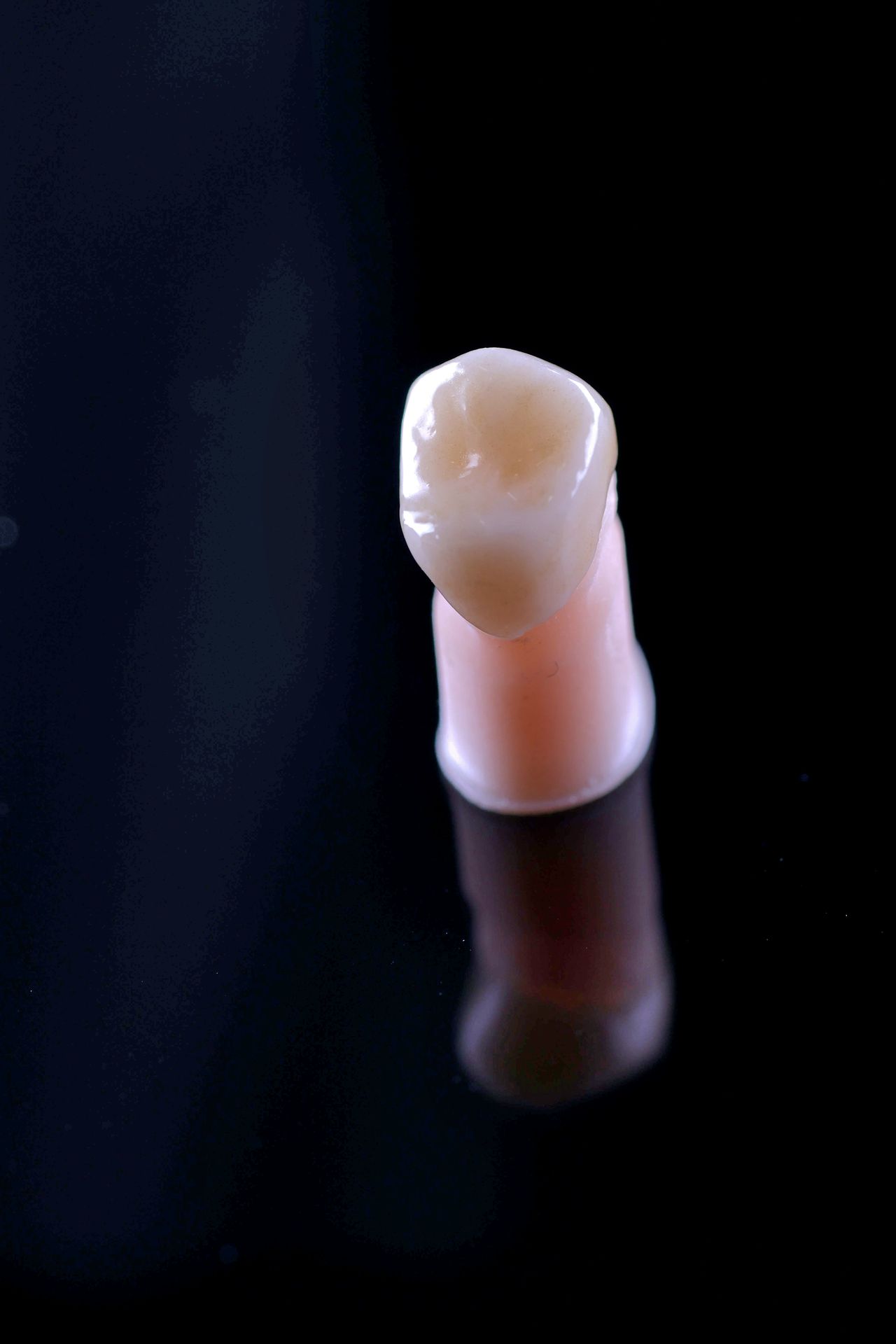 César Armando Hernández Castañeda-8